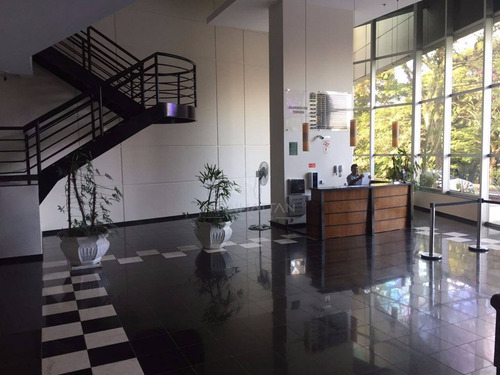 Imagem 21 de 30 de Sala À Venda Em Cambuí - Sa000606