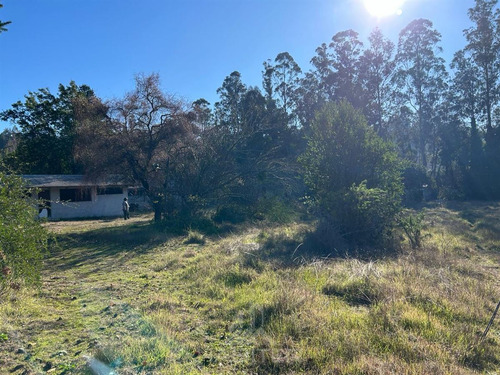 Arriendo Sitio Urbano Comercial 5.000 M2 Sector Patagual