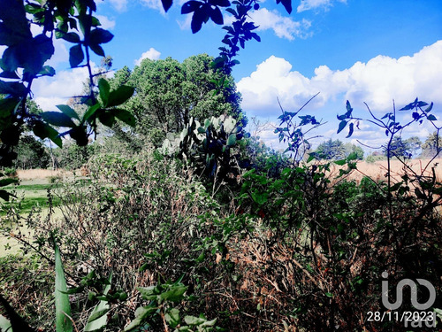 Venta Terreno 0 Ambiente La Mora