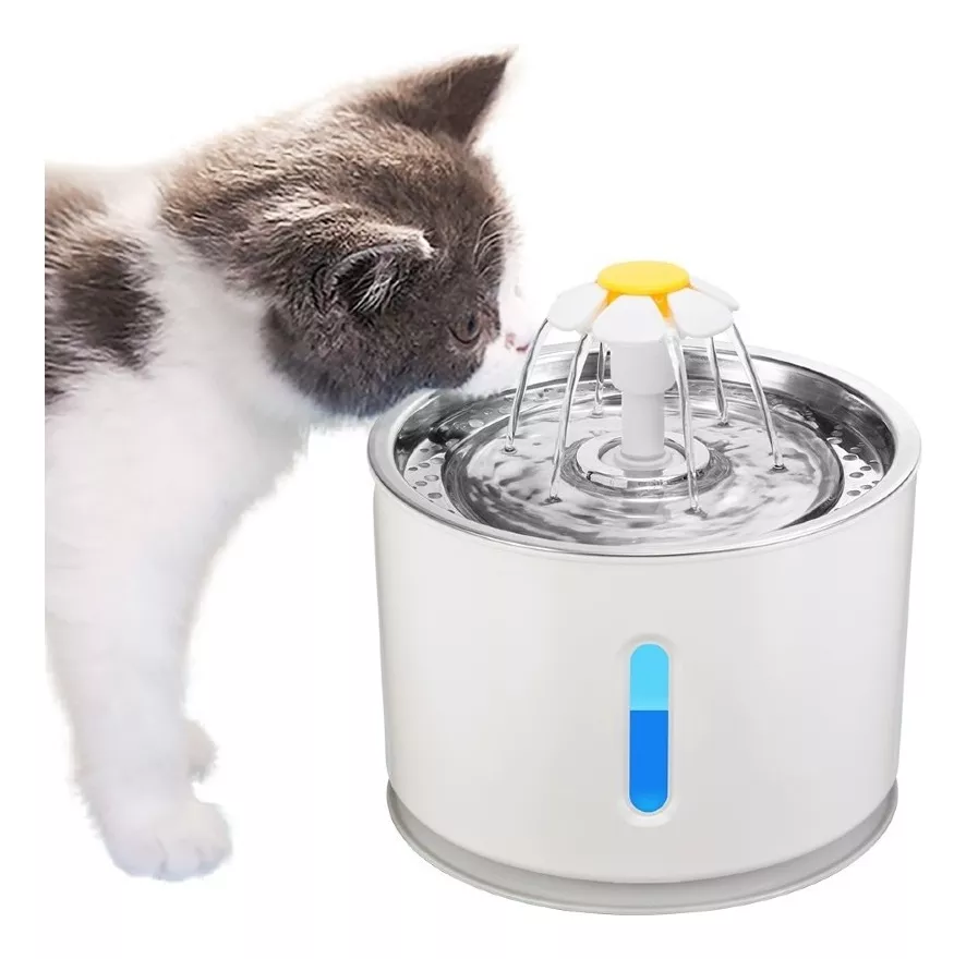 Primera imagen para búsqueda de fuente de agua para gatos