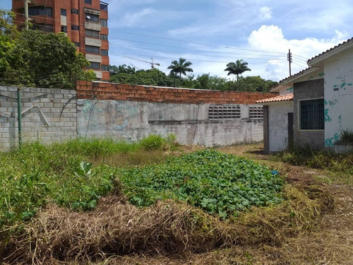 Imagen 2 de 11 de Casa-terreno Comercial En Venta En La Viña Cód 129755 Adriana Oropeza