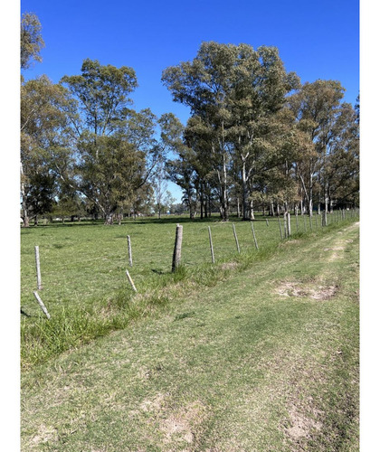 Lote Ubicado A 700 Metros Ruta 41 - San Miguel Del Monte