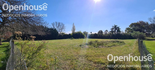 Imagen 3 de 8 de Venta De Lote Central Sobre Calle Principal En Parque Irizar