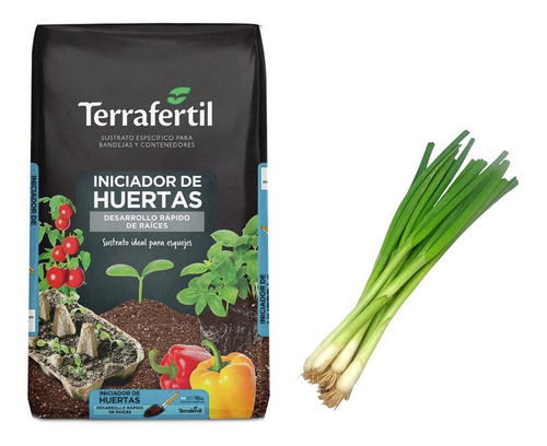 Sustrato Huerta Terrafertil 10lts Semillas De Cebolla Verdeo