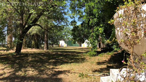 Chacra - San Andres De Giles