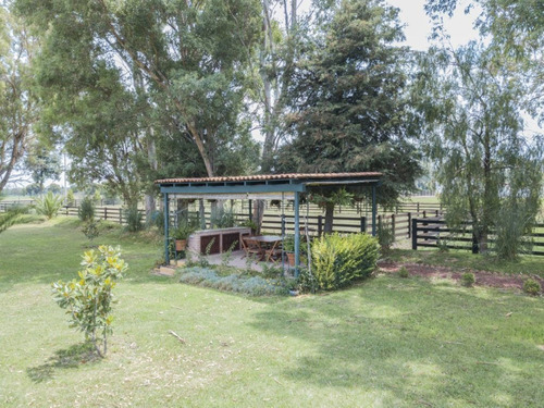 Imagen 26 de 30 de Rancho Morera