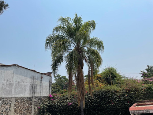 Imagen 6 de 7 de Terreno - Venta, Reforma, Cuernavaca