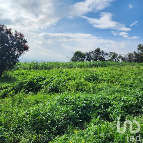 Venta Terreno 0 Ambiente San Antonio Zoyatzingo