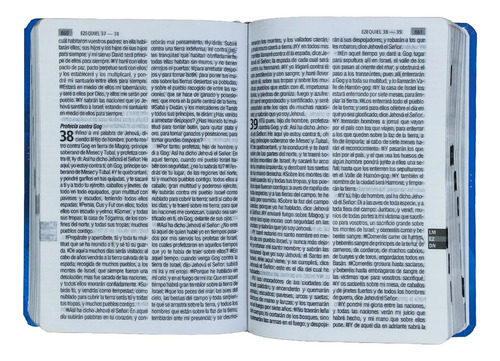 Biblia Reina Valera 1960 Letra Grande Leon Celeste Azul