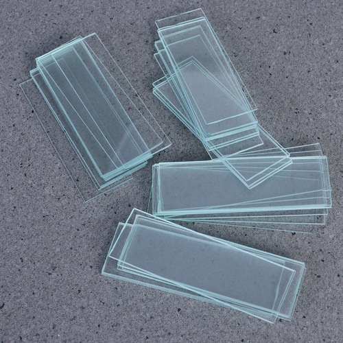 A Portaobjetos De Microscopio En Blanco Y Vidrio De