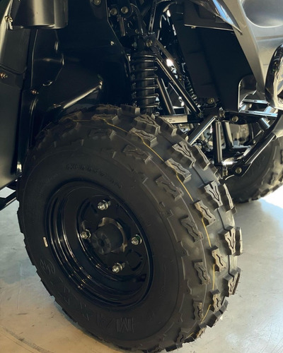 Imagen 20 de 25 de Kawasaki Brute Force 300 | Mall Don Bosco Motors