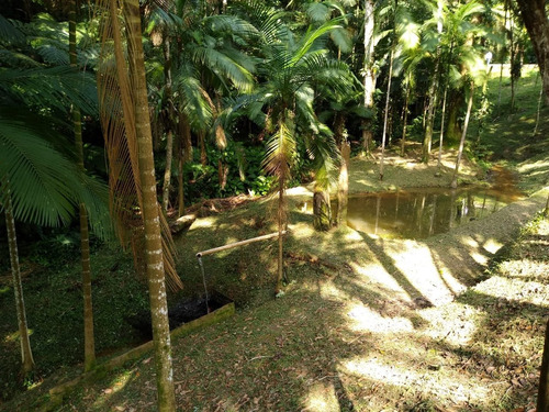 Imagem 20 de 30 de Sítio Ideal Para Lazer E Moradia Á Apenas 700 Metros Da Rodovia, Com Belíssima Casa Sede Em Juquitiba/sp! - 05 - 33845423