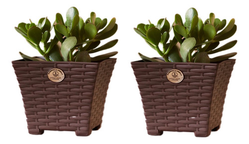 Maceta Mediana Cuadrada Tipo Rattan