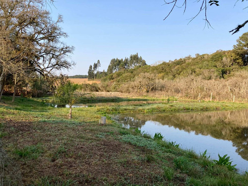 Imagem 23 de 30 de Chácara Com 3 Dormitórios À Venda Com 4105m² Por R$ 255.000,00 No Bairro Rio Abaixo - Fazenda Rio Grande / Pr - Mt686-ch