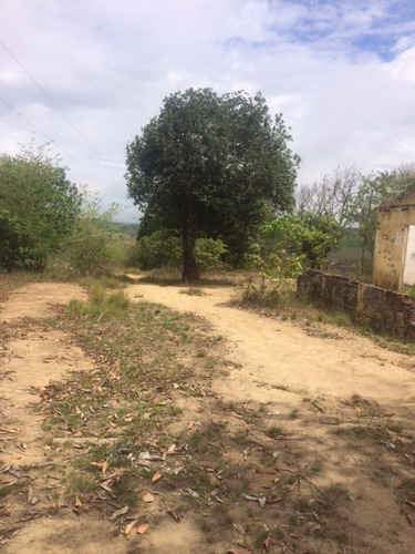 Imagem 6 de 18 de Ótimo Sítio 14 Hec, Não Tem Benfeitoria, Estrada De Aldeia Km 33 Em Paudalho Aceito Carro - St00007