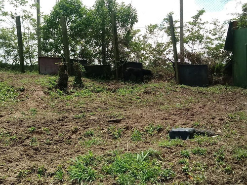 Imagem 20 de 24 de Casa À Venda, 2 Quartos, 8 Vagas, Batistini - São Bernardo Do Campo/sp - 47785