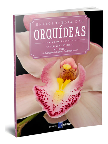 Enciclopédia das Orquídeas - Volume 7, de Editora Europa. Editorial Editora Europa Ltda., capa mole em português, 2020