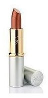 Mary Kay Signature Creme Lipstick ~ Gingerbread