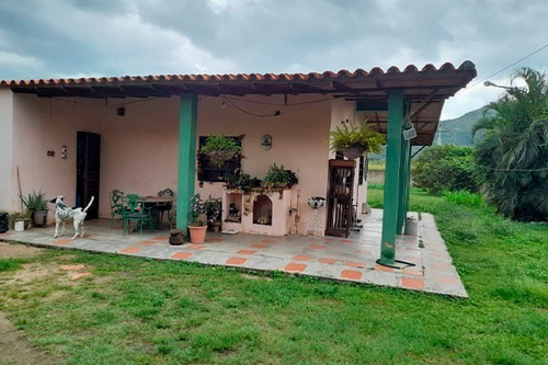Imagen 3 de 11 de Fd Asein Sd 1569 Ofrece En Venta Excelente Parcela Con Casa Campestre En San Diego