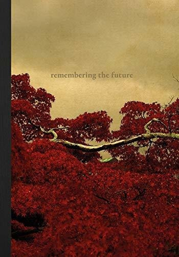 Book : Albarran Cabrera Remembering The Future (assorted) -