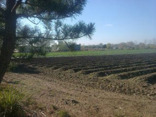 Campo Apto Todo Destino .. Excelente Tierra