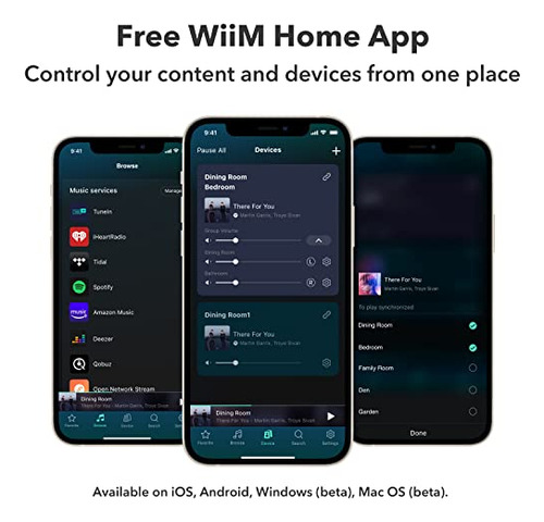 Receptor Wiki Pro Airplay 2, Chromecast Audio, Wifi Multiroo