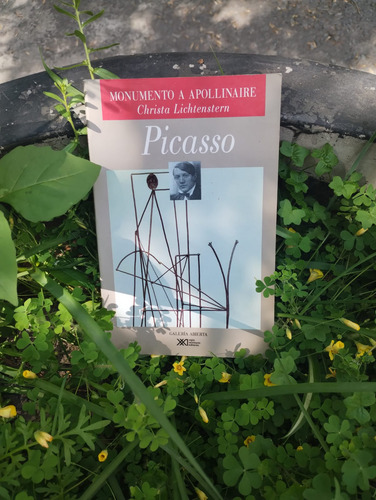 Pablo Picasso: Monumento A Apollinaire, Siglo Xxi