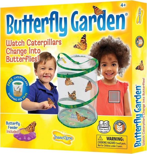 Insect Lore - Kit De Cultivo De Mariposas Bh Envios Gratis