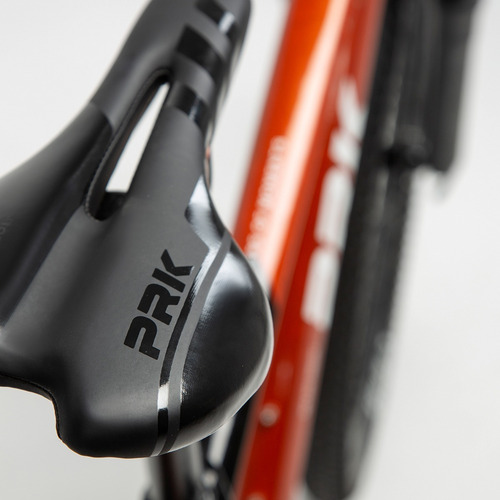 Mountain Bike Ember R29 21v