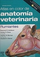 Atlas En Color De Anatomía Veterinaria. Rumiantes