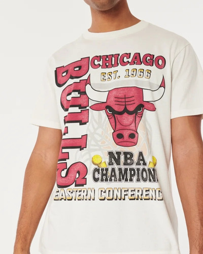 Remera Hollister , Chicago Bulls