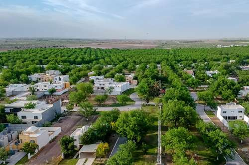 Terreno En Venta, San Armando Bosque Residencial, Torreón, Coahuila