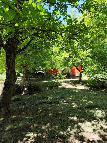 Chacra En Ruta 16