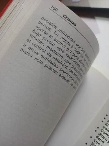 Imagen 4 de 5 de El Cocker Spaniel Inglés Robert Gannon