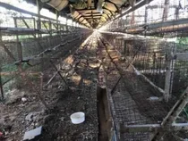 Comprar Juego De Parantes Para Jaulas De Gallinas Ponedoras Envios