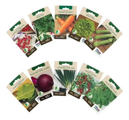 Kit 10 Sementes De Hortaliças Primeira Horta Alta Germinação