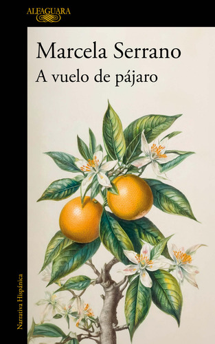 A Vuelo De Pájaro, De Serrano, Marcela. Editorial Alfaguara, Tapa Blanda En Español, 1