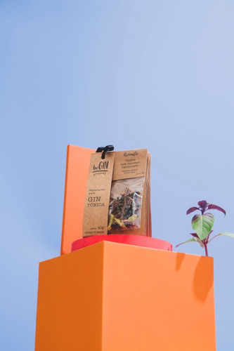1 Kit De Especiarias Para Gin Tônica (6 Sachês)