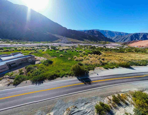 Venta Terreno En Purmamarca Sobre Ruta 5.387,54m²