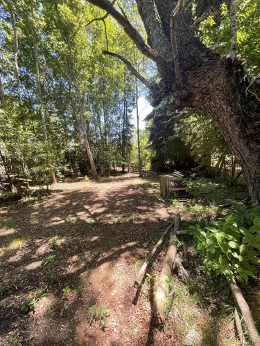 Venta De Propiedad En Camino A Las Termas De Chillán