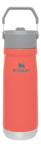 Stanley Botella  Flip Straw Water Bottle  500 Ml