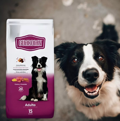 Guardián Alimento Perro Adulto X15kg Envío Gratis!