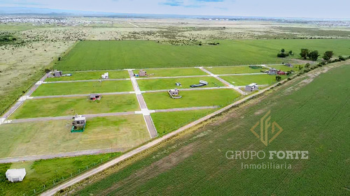 Imagen 2 de 26 de Terreno A La Venta En La Ernestina