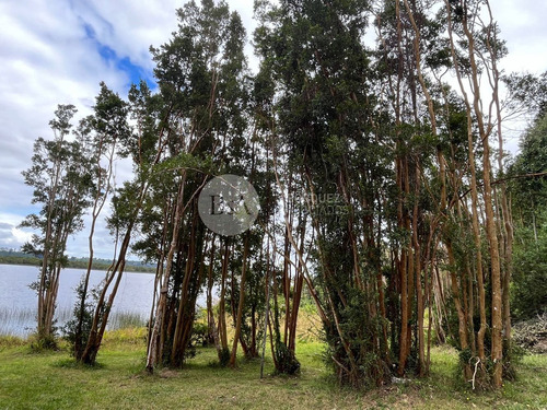 22384 - Parcela A Orillas De Río Maullín