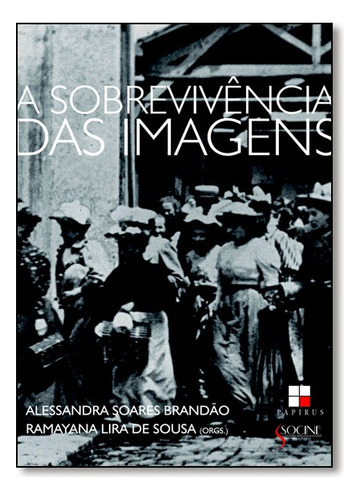 Sobrevivencia Das Imagens  A, De Brandao, Alesandra Soares. Editora Papirus Em Português