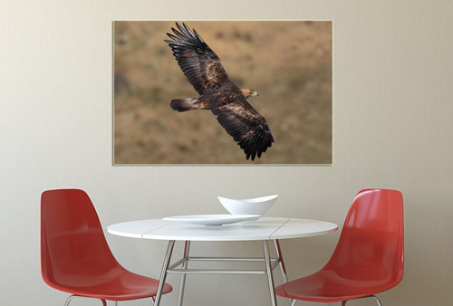 Vinilo Decorativo 50x75cm Pajaros Aves Aguilas Monte M7