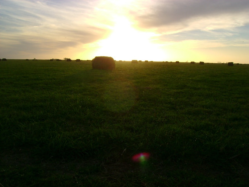 Campo En Venta En Chascomús - 183 Hectáreas Agrícola