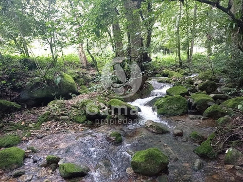 Terreno En Venta En El Texme Con Centro Ecoturistico Operativo