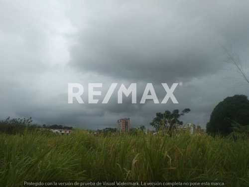 Imagen 6 de 8 de Venta De Terreno En Higuerote