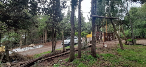Imagen 8 de 17 de Casa Ph Independiente, 3 Dorm, 2 Baños, Lago Gutierrez